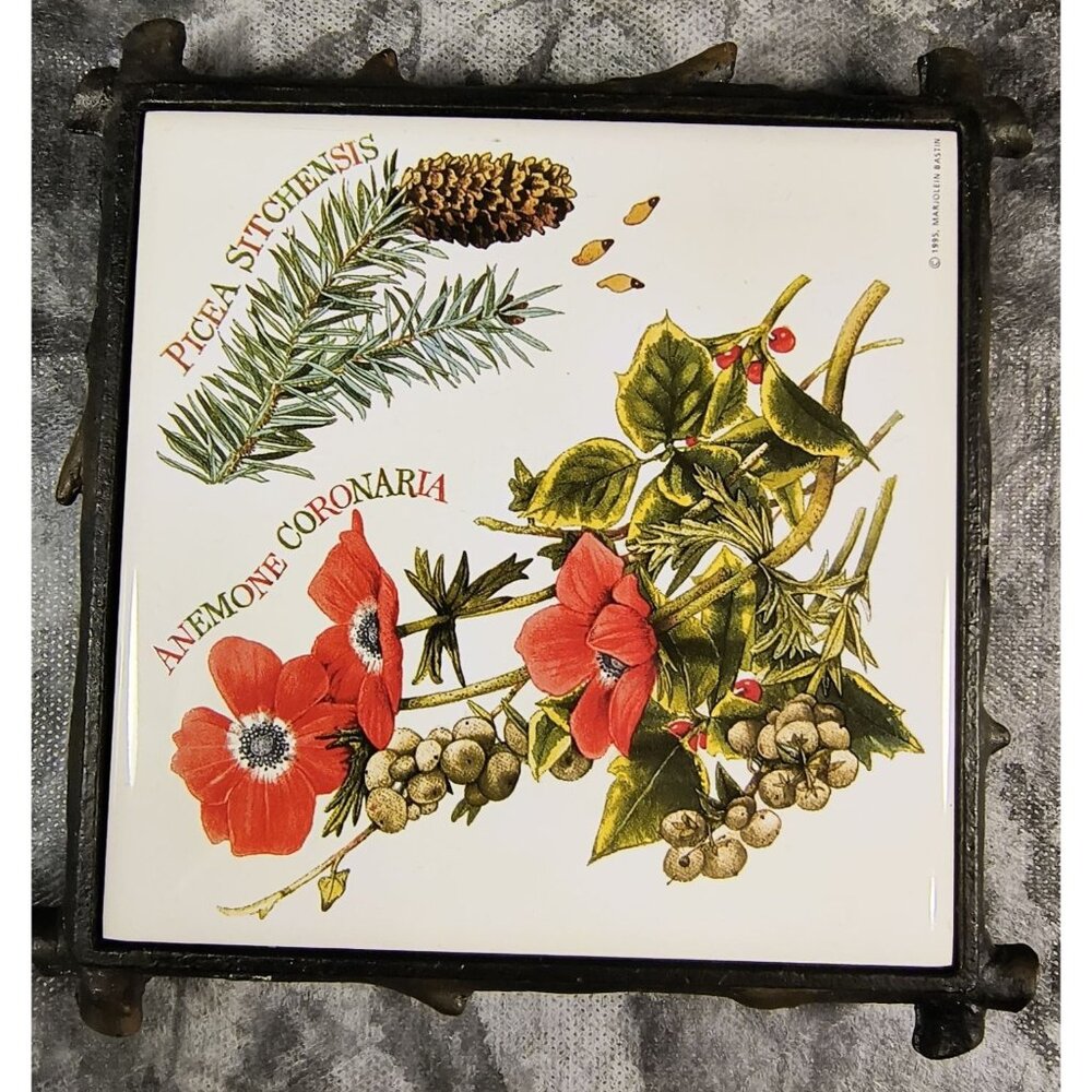 Vintage Sri Lanka Ceramic Trivet W/ Picea Sitchensis & Anemone Coronaria Botanic